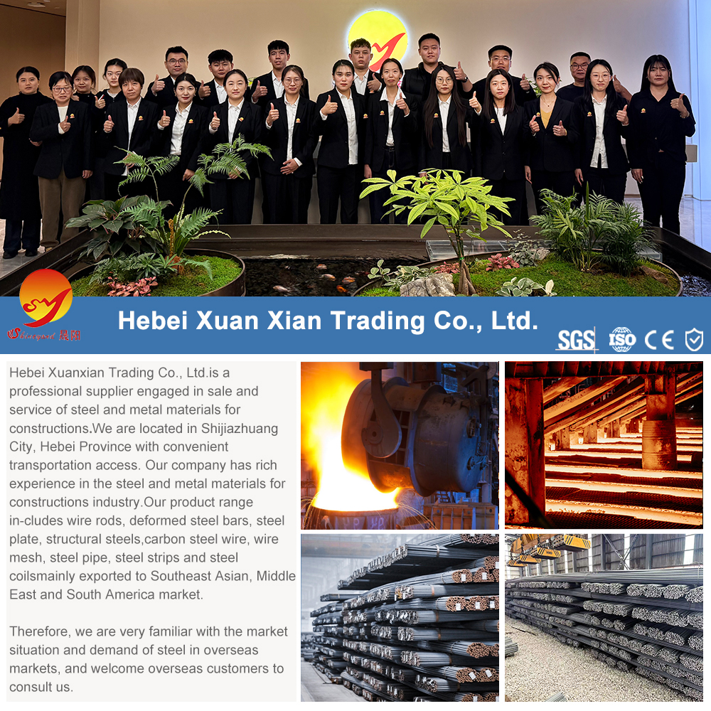 Recent Market Updates on Rebar in Domestic and International Markets